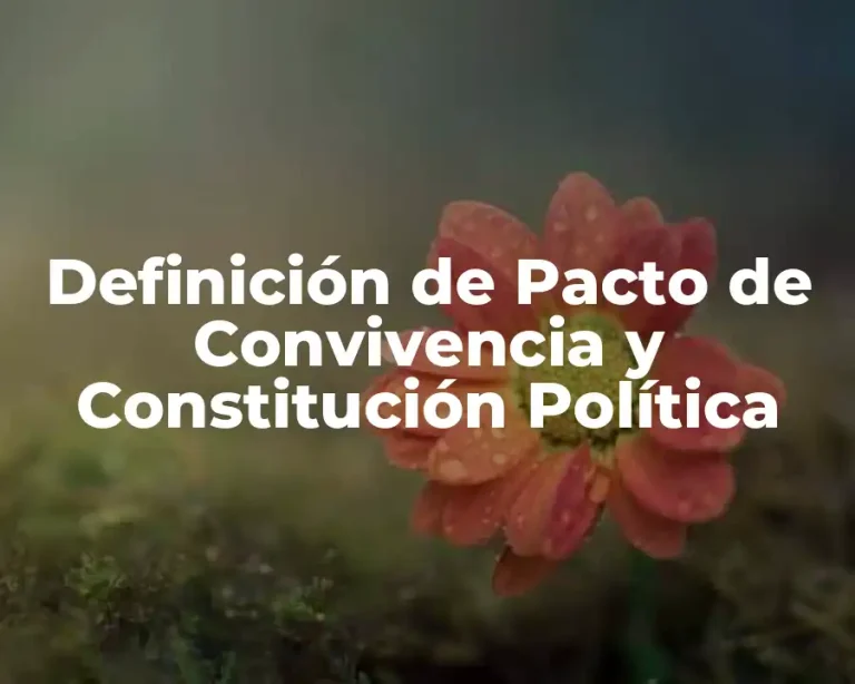 Definición de Pacto de Convivencia y Constitución Política