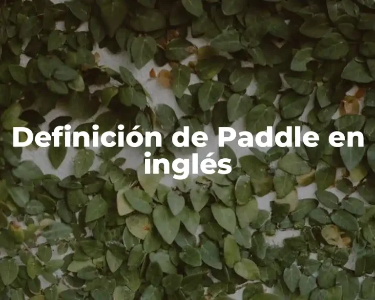 Definición de Paddle en inglés