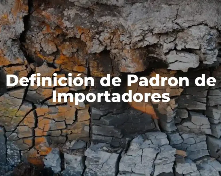Definición de Padron de Importadores