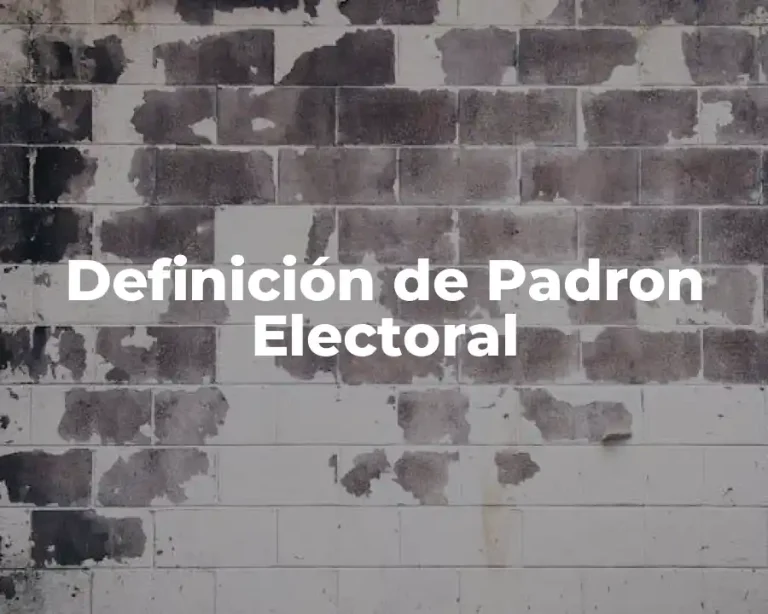 Definición de Padron Electoral