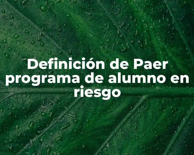 Definición de Paer programa de alumno en riesgo