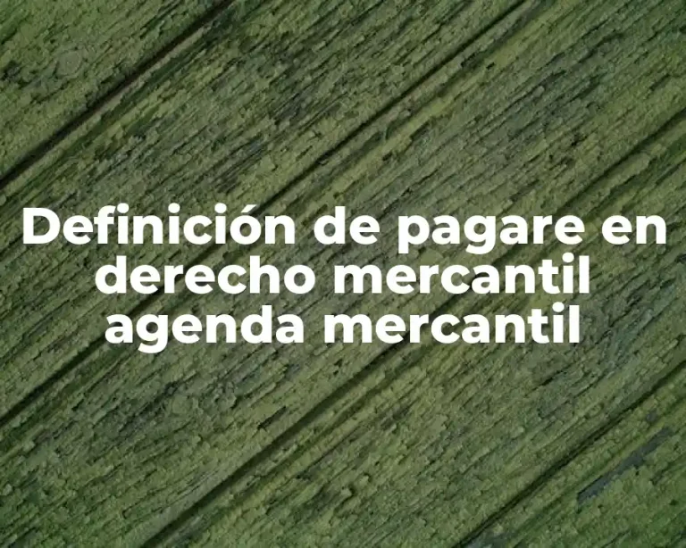 Definición de pagare en derecho mercantil agenda mercantil