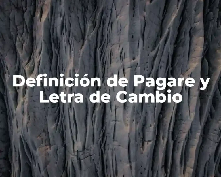 Definición de Pagare y Letra de Cambio