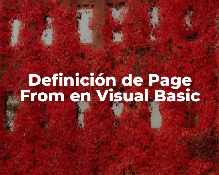 Definición de Page From en Visual Basic