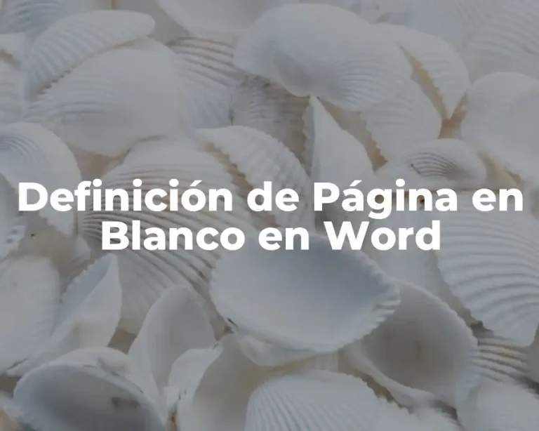 Definición de Página en Blanco en Word