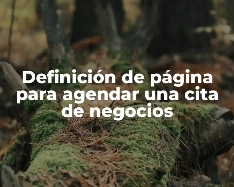 Definición de página para agendar una cita de negocios