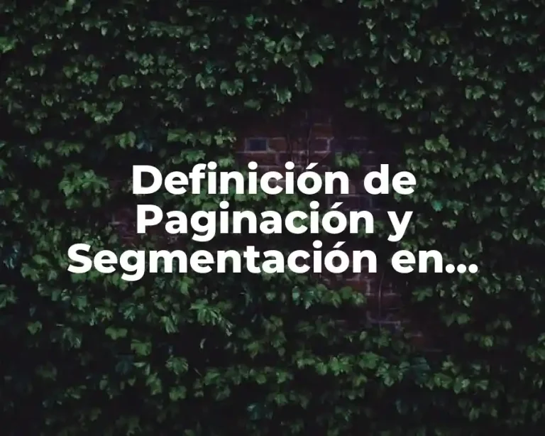 Definición de Paginación y Segmentación en Sistemas Operativos