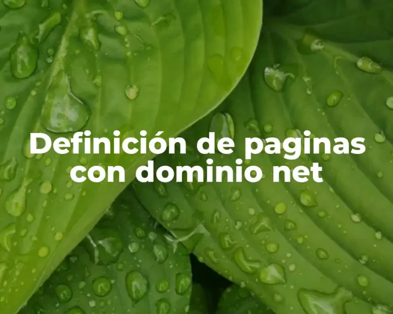 Definición de paginas con dominio net