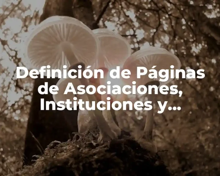 Definición de Páginas de Asociaciones, Instituciones y Empresarial