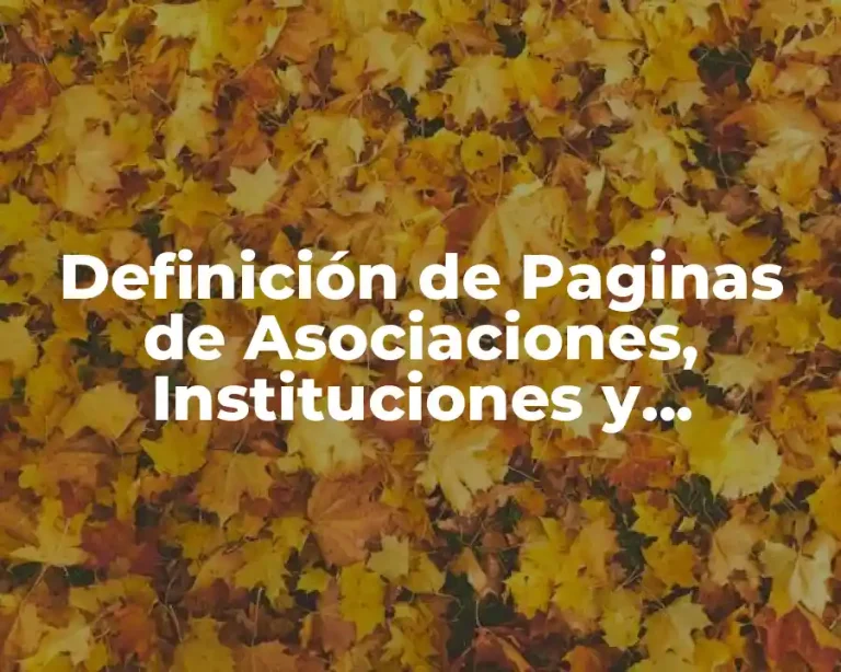 Definición de Paginas de Asociaciones, Instituciones y Empresarial Internet