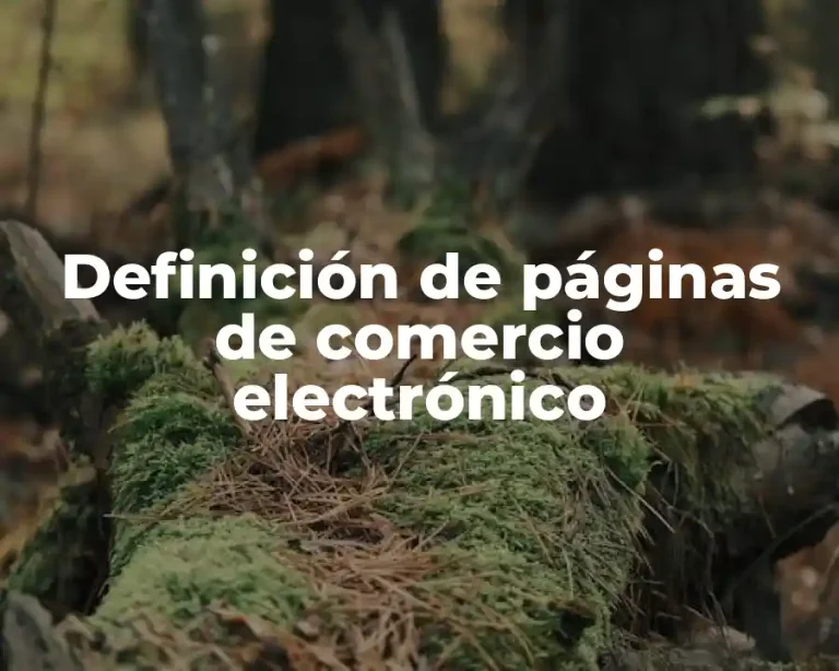 Definición de páginas de comercio electrónico