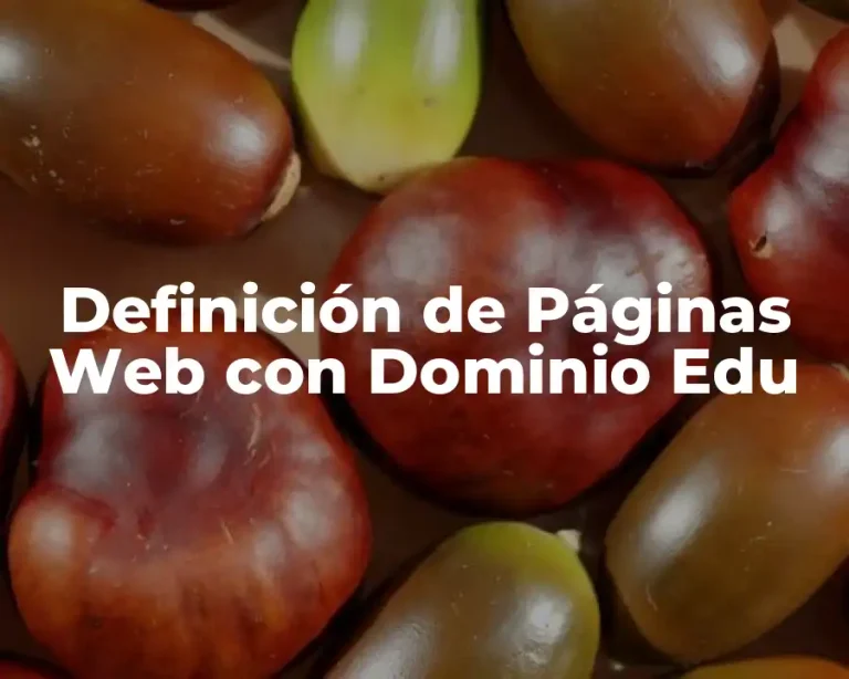 Definición de Páginas Web con Dominio Edu