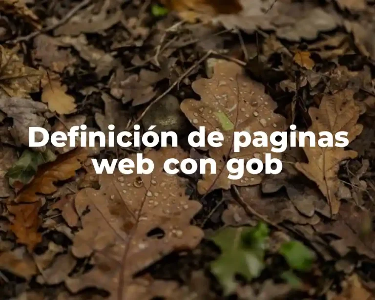 Definición de paginas web con gob