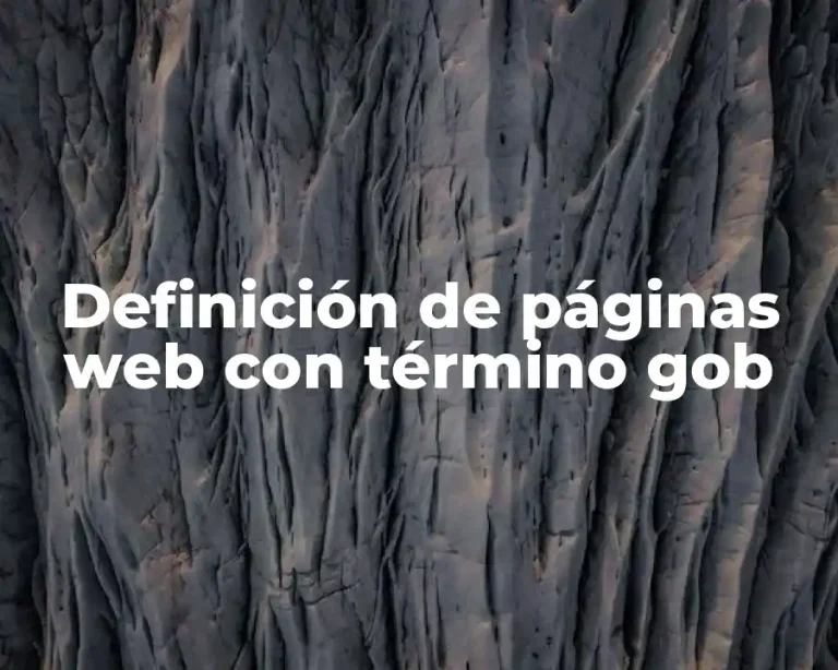 Definición de páginas web con término gob