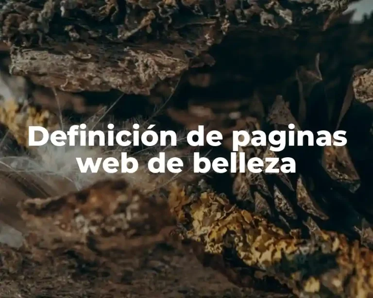 Definición de paginas web de belleza