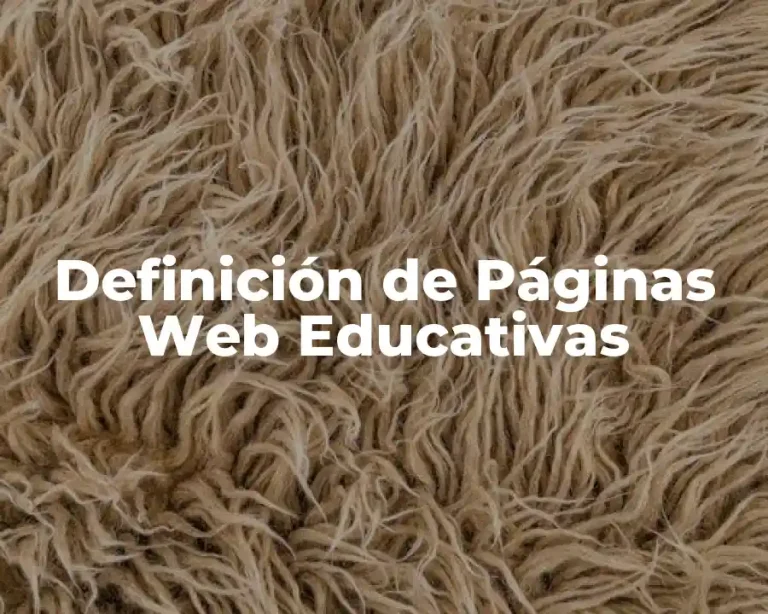 Definición de Páginas Web Educativas
