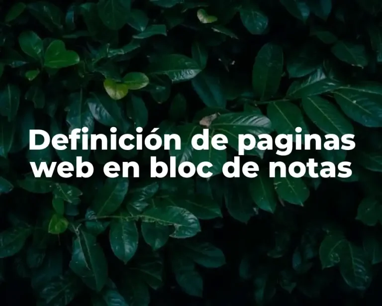 Definición de paginas web en bloc de notas