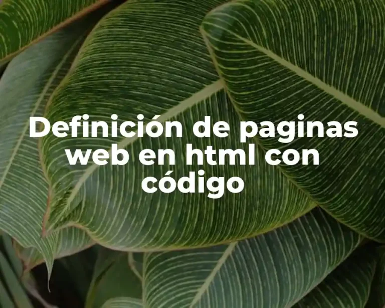 Definición de paginas web en html con código