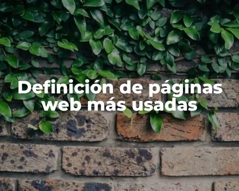 Definición de páginas web más usadas