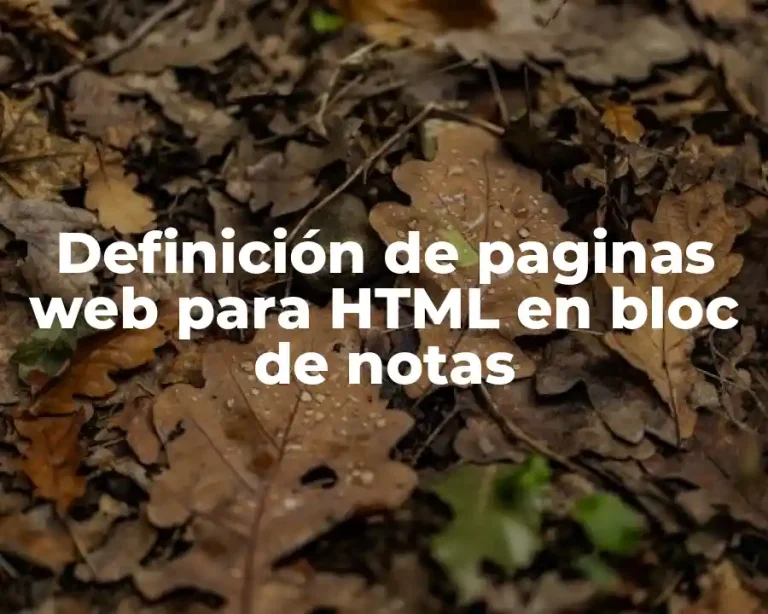 Definición de paginas web para HTML en bloc de notas