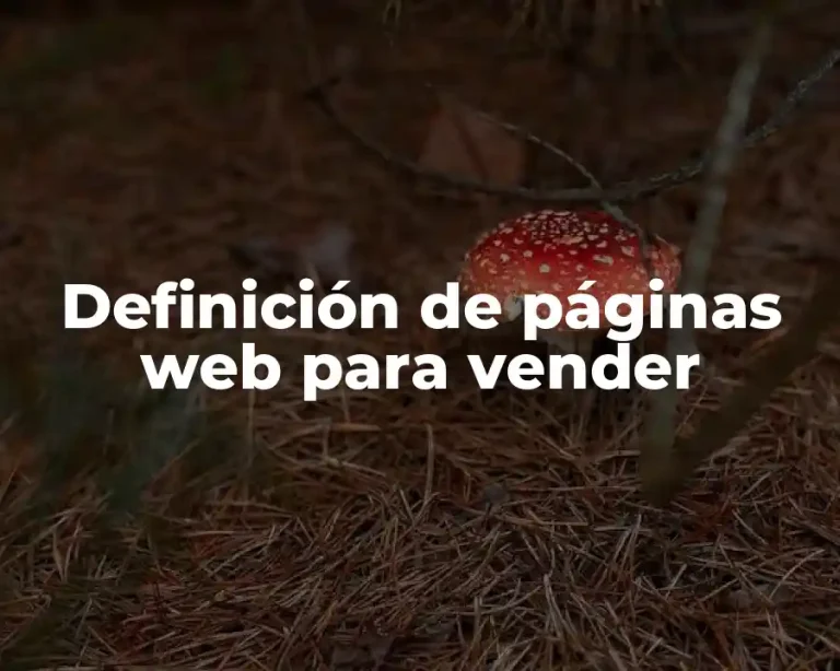 Definición de páginas web para vender