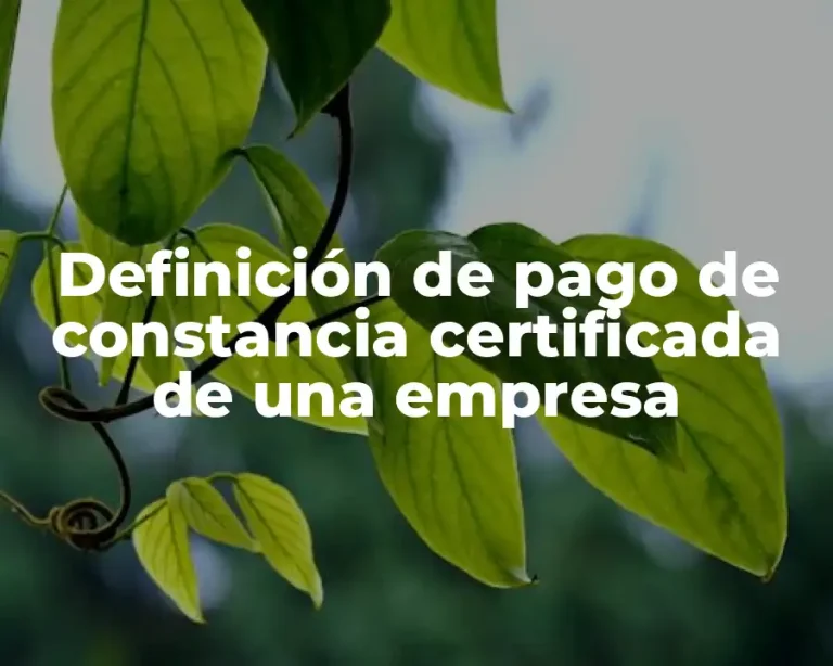 Definición de pago de constancia certificada de una empresa
