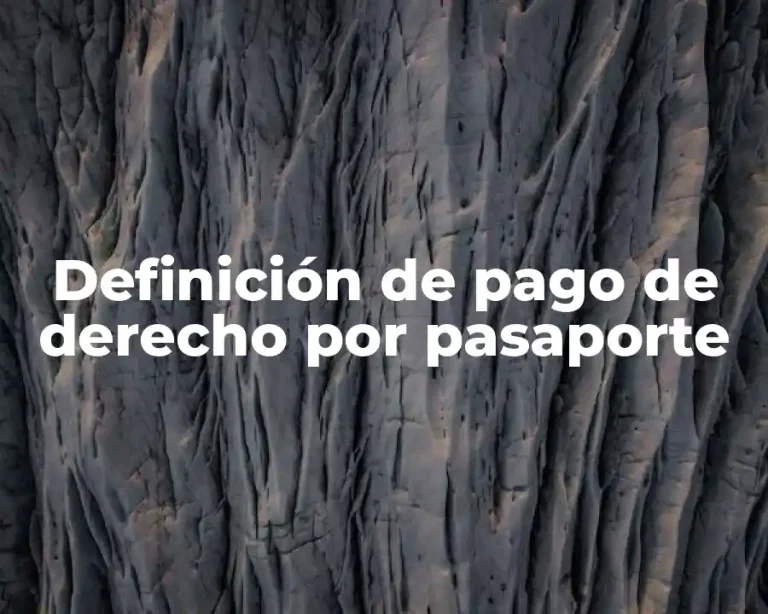 Definición de pago de derecho por pasaporte
