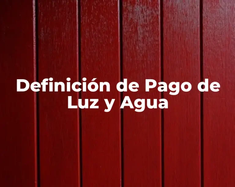 Definición de Pago de Luz y Agua