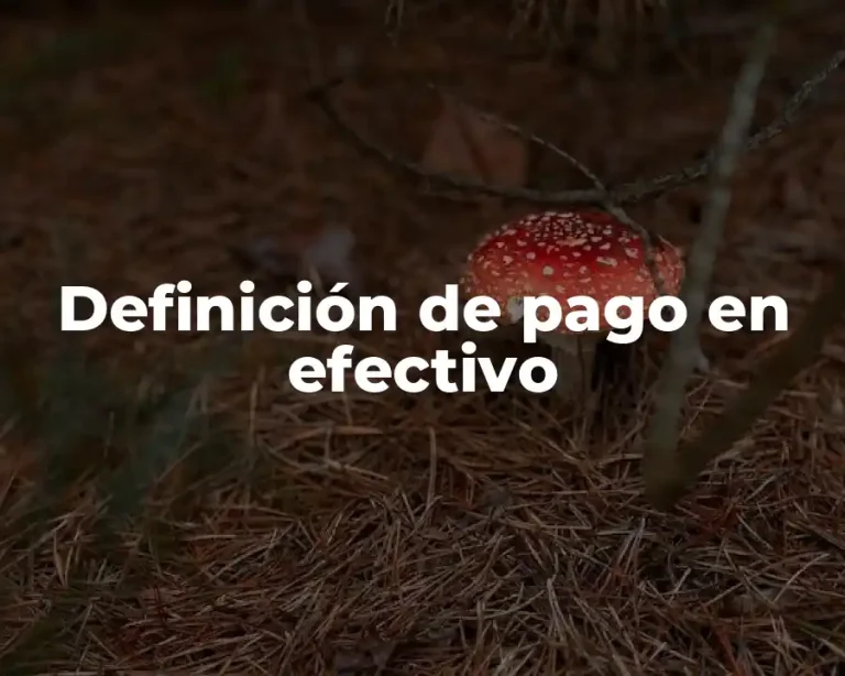 Definición de pago en efectivo