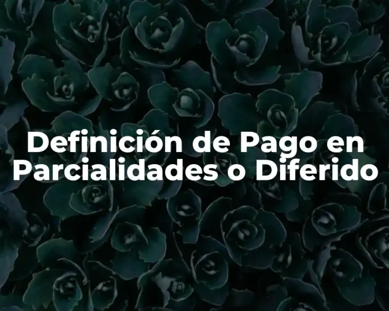Definición de Pago en Parcialidades o Diferido