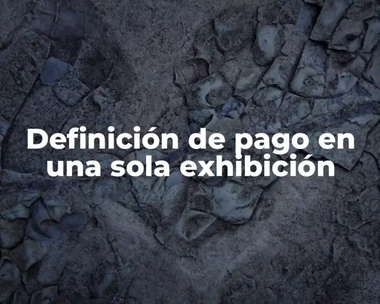 Definición de pago en una sola exhibición