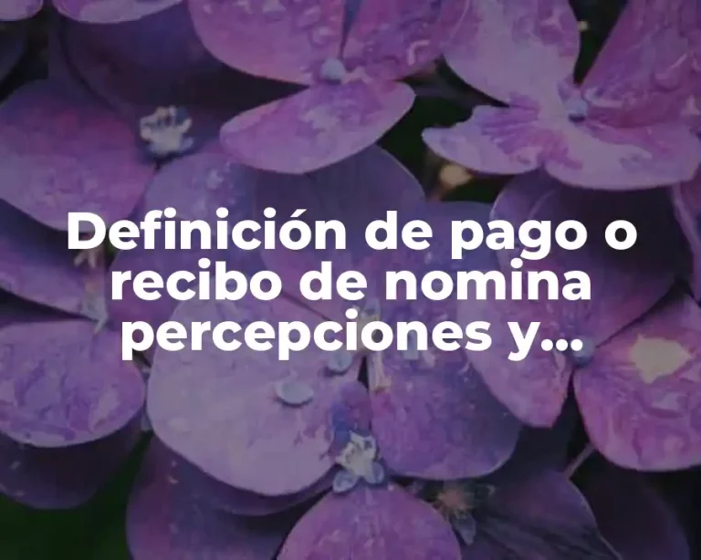 Definición de pago o recibo de nomina percepciones y deducciones