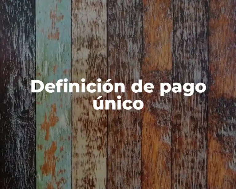Definición de pago único