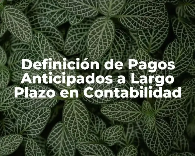 Definición de Pagos Anticipados a Largo Plazo en Contabilidad