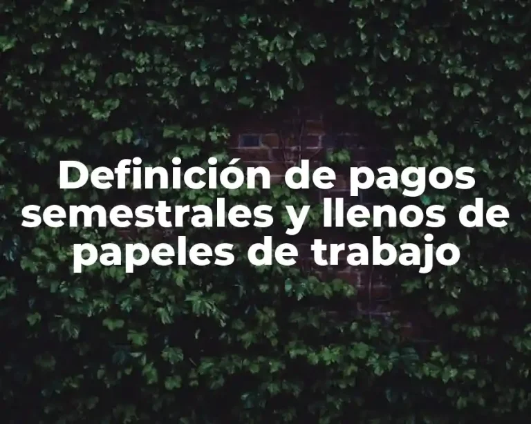 Definición de pagos semestrales y llenos de papeles de trabajo