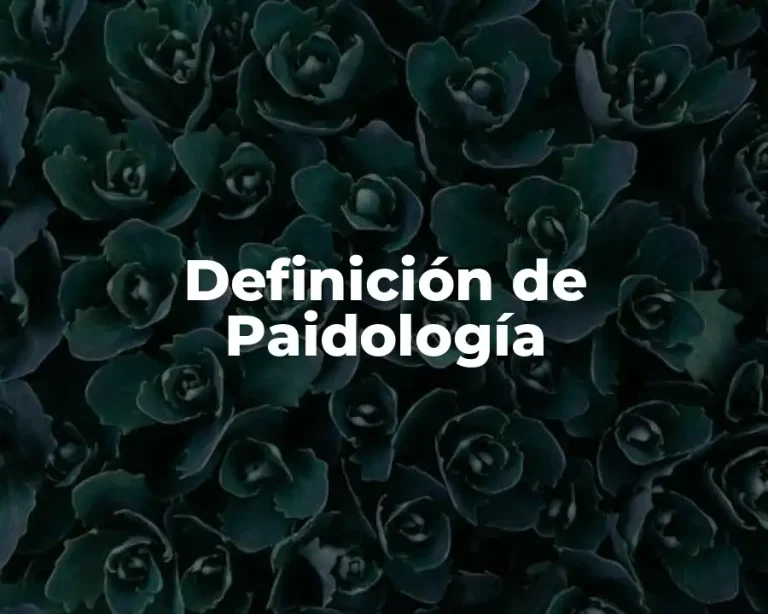 Definición de Paidología