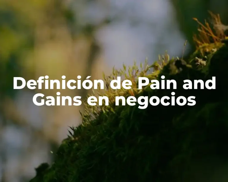 Definición de Pain and Gains en negocios