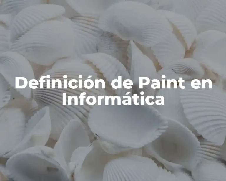 Definición de Paint en Informática