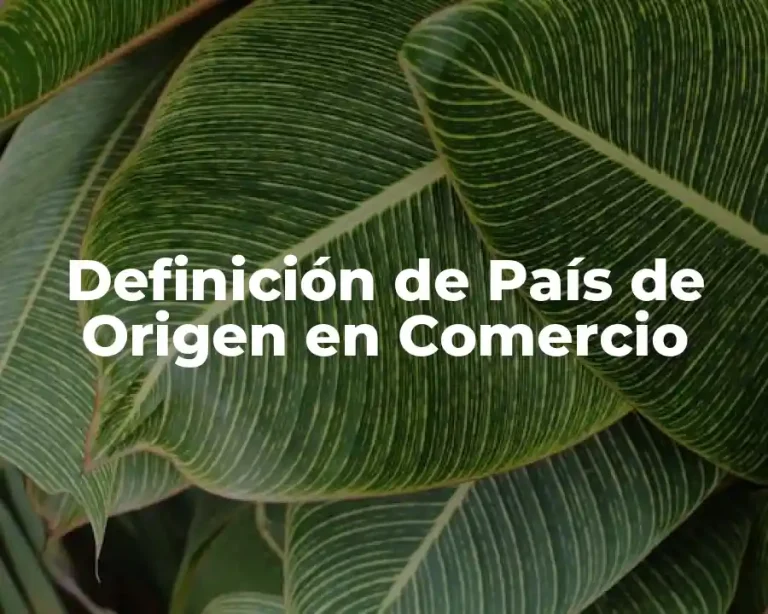 Definición de País de Origen en Comercio