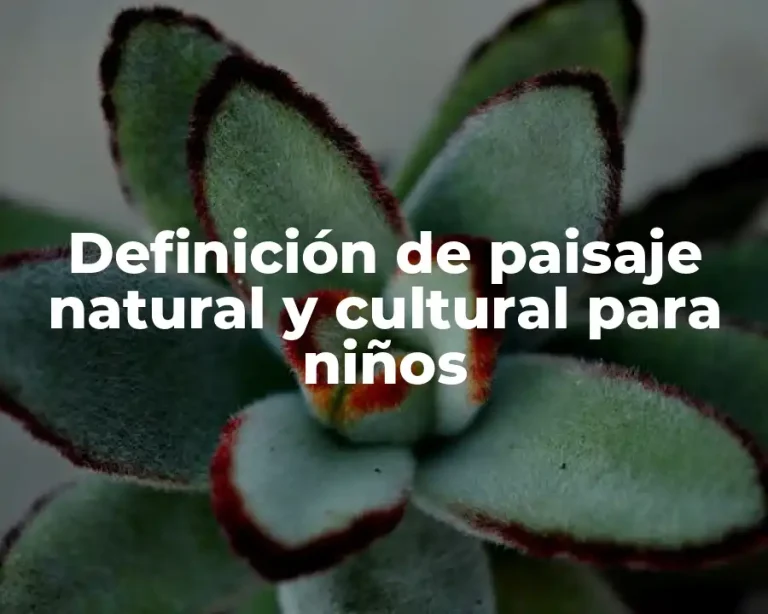 Definición de paisaje natural y cultural para niños