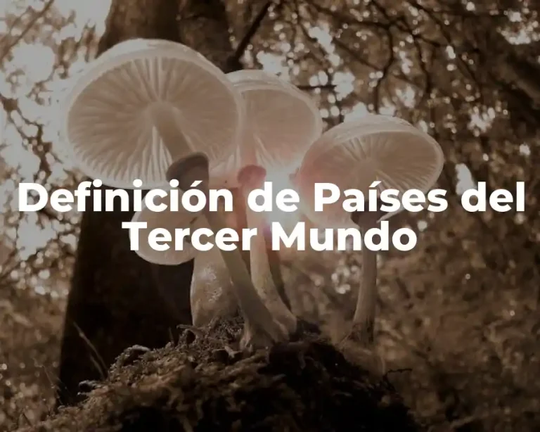 Definición de Países del Tercer Mundo
