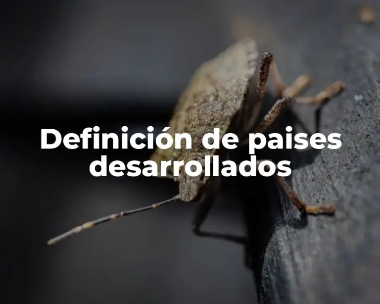 Definición de paises desarrollados