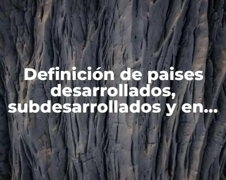 Definición de paises desarrollados, subdesarrollados y en vías de desarrollo
