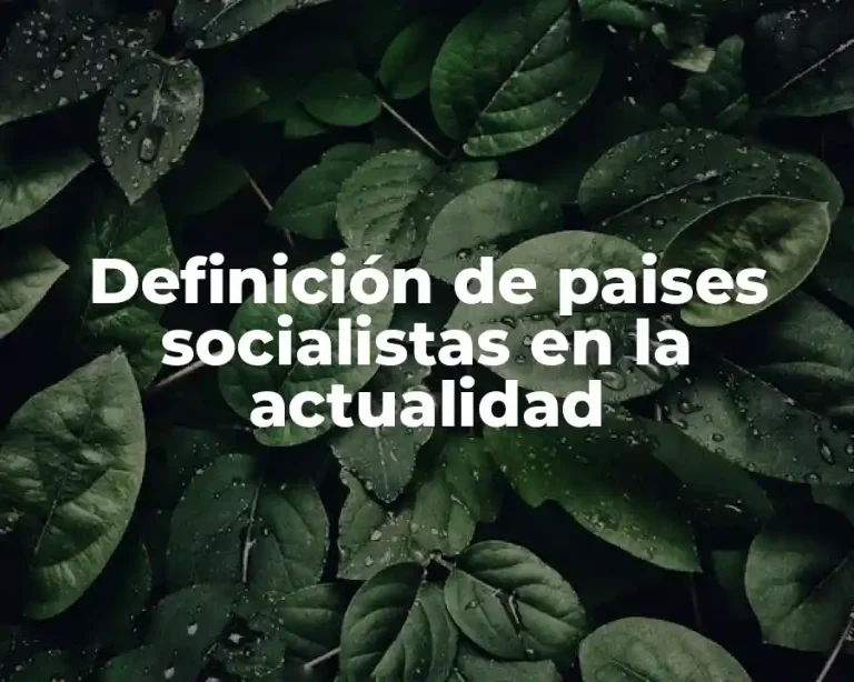 Definición de paises socialistas en la actualidad