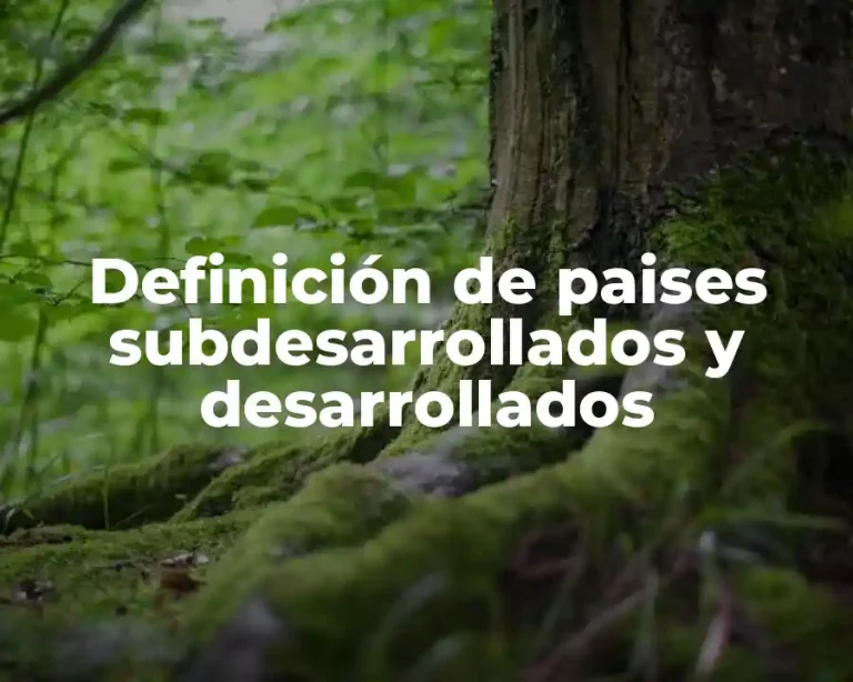 Definición de paises subdesarrollados y desarrollados