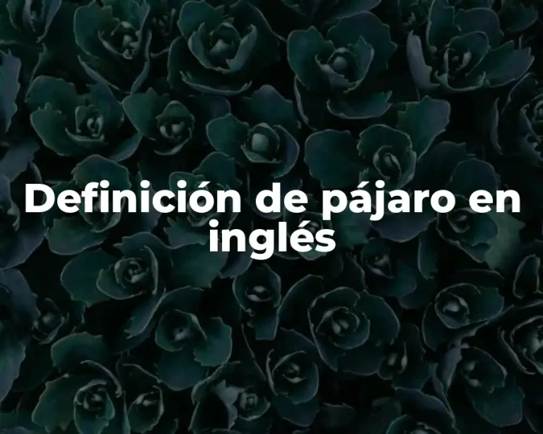 Definición de pájaro en inglés