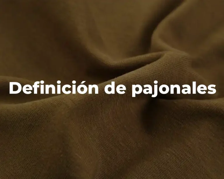 Definición de pajonales