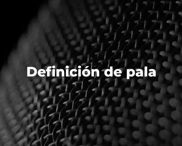 Definición de pala