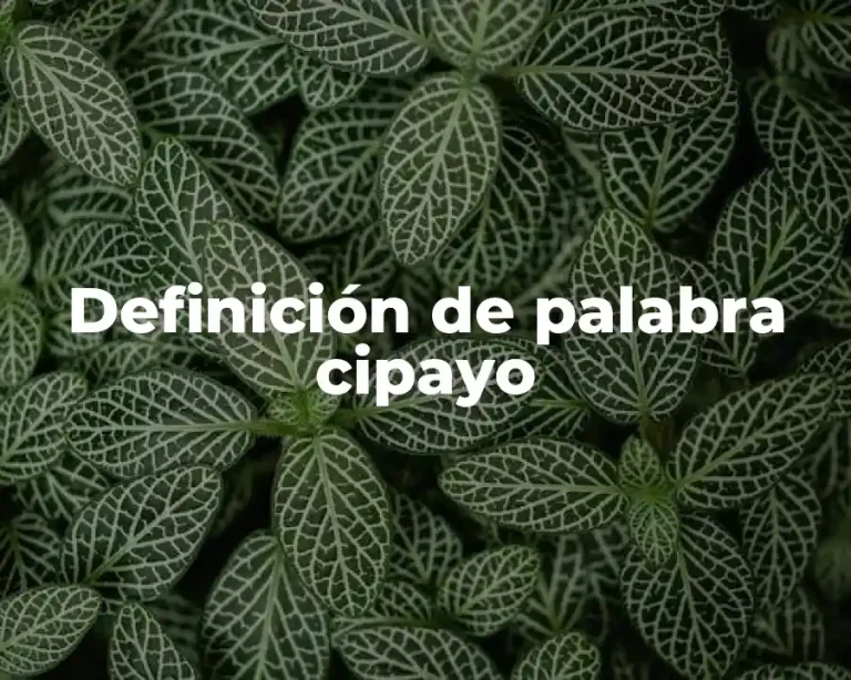Definición de palabra cipayo