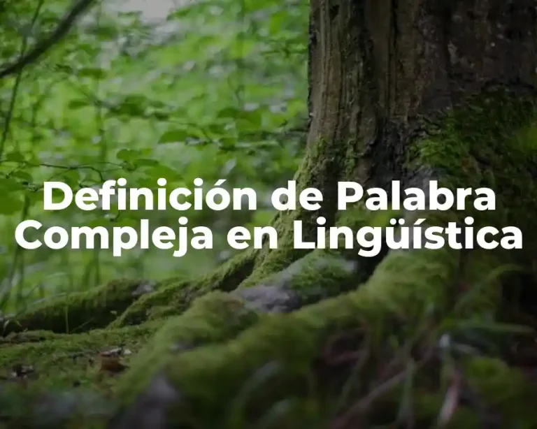 Definición de Palabra Compleja en Lingüística
